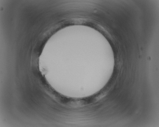 X0000081310307200702012341