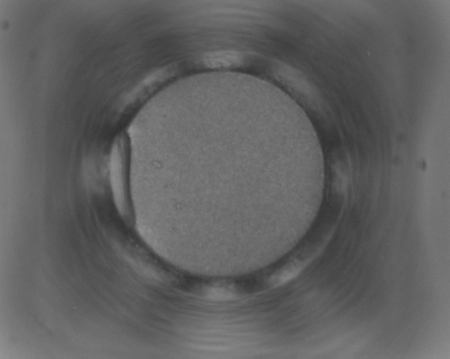 X0000081310308200702012341