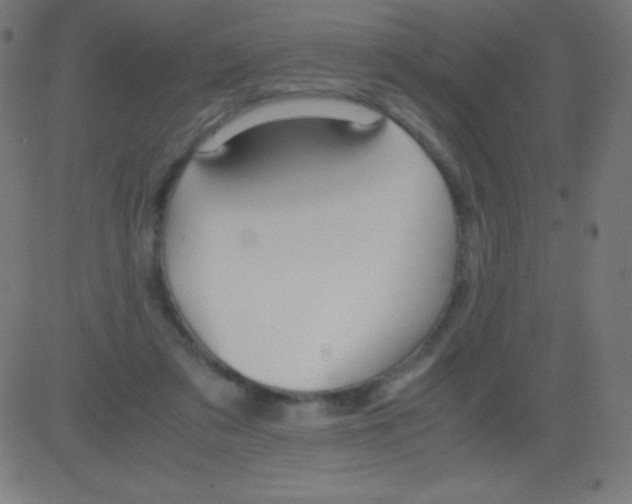 X0000081310309200702012341