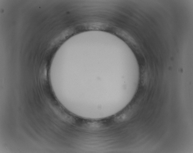 X0000081310310200702012341