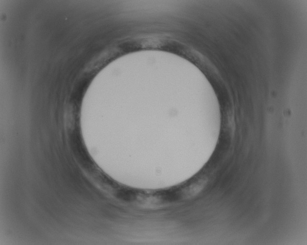 X0000081310311200702012341