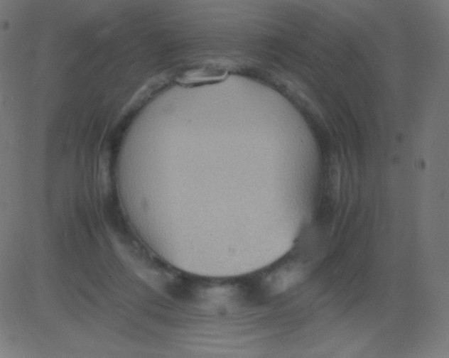 X0000081310312200702012341