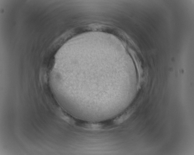 X0000081310313200702012341