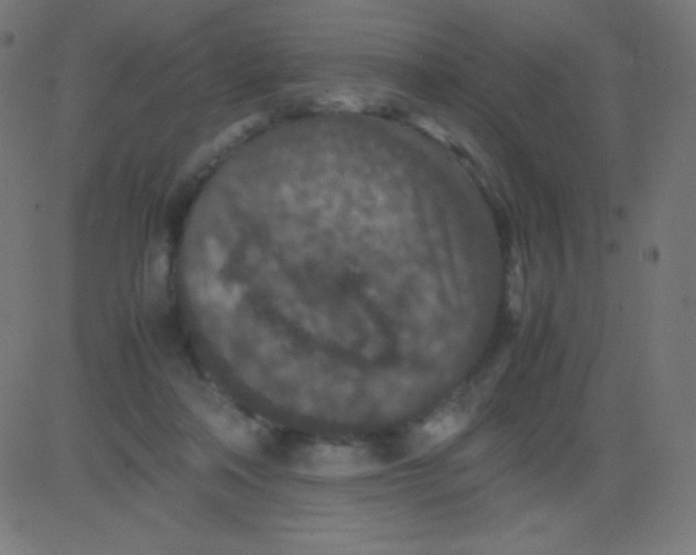 X0000081310314200702012341