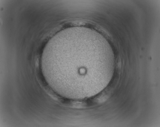 X0000081310315200702012341