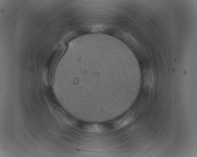 X0000081310316200702012341