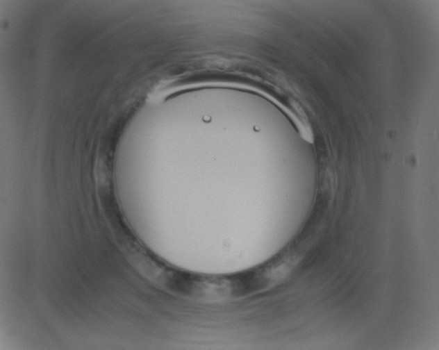 X0000081310317200702012341