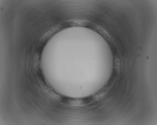 X0000081310318200702012341