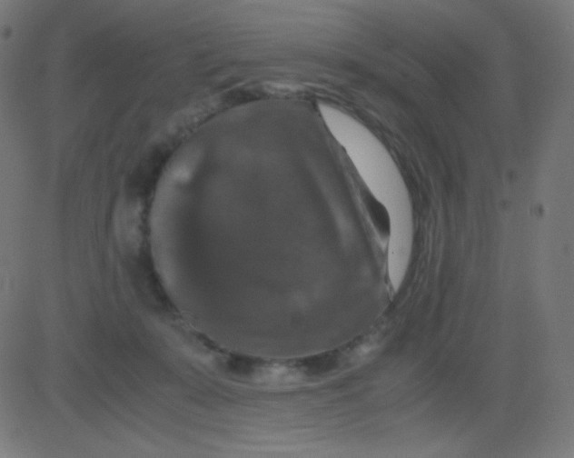 X0000081310319200702012341