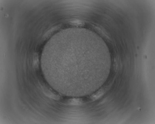 X0000081310320200702012341