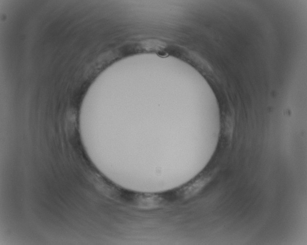 X0000081310321200702012341