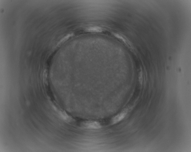 X0000081310322200702012341