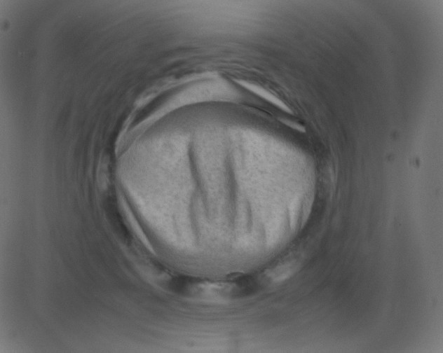 X0000081310323200702012341