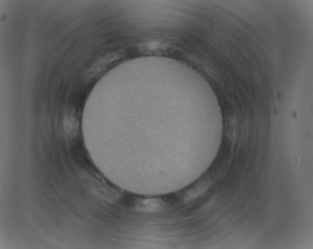 X0000081310324200702012341