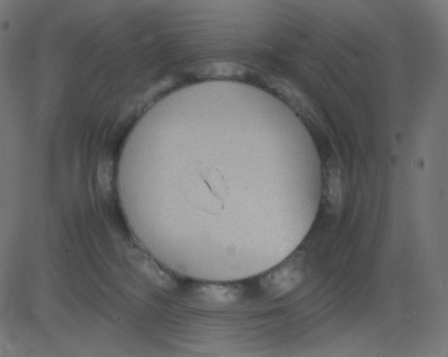 X0000081310326200702012341