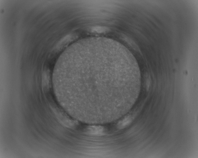 X0000081310328200702012340