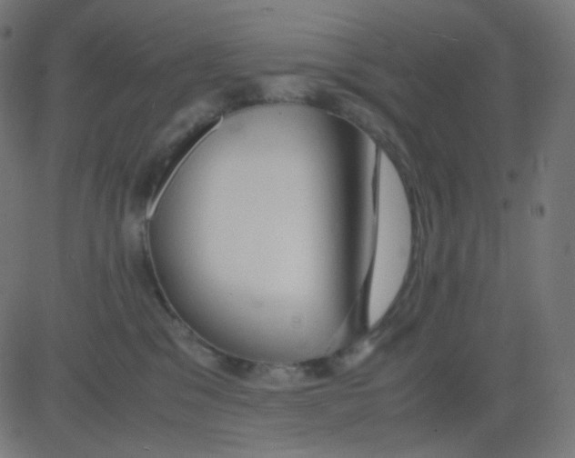 X0000081310329200702012340