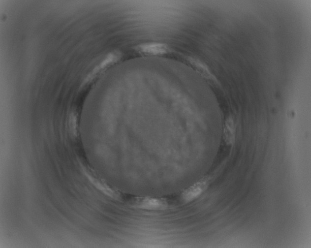 X0000081310330200702012340