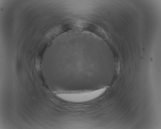 X0000081310331200702012340