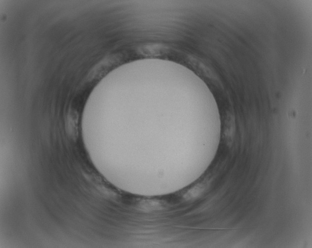 X0000081310332200702012340