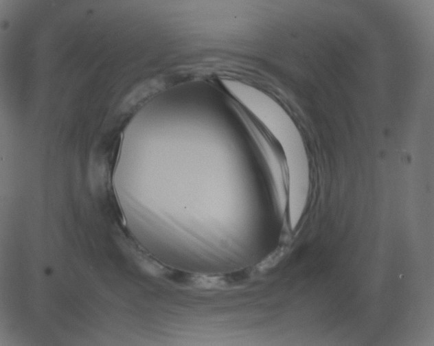 X0000081310333200702012340