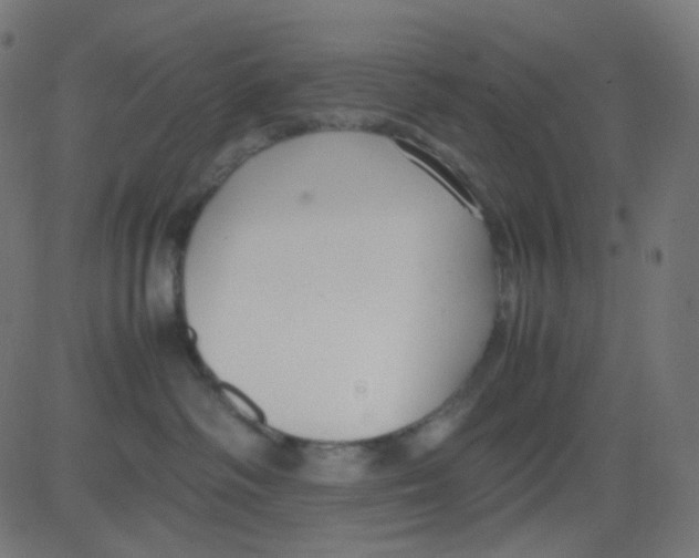 X0000081310334200702012340