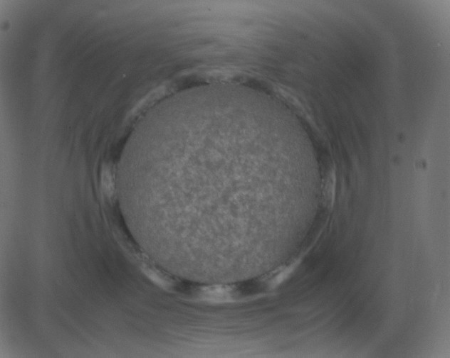 X0000081310335200702012340