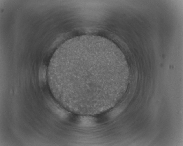 X0000081310336200702012340