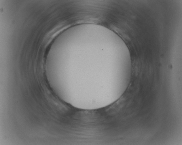 X0000081310338200702012340