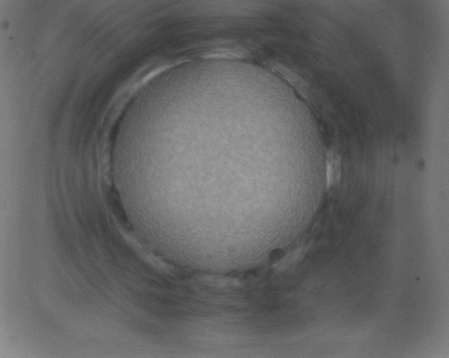 X0000081310339200702012340