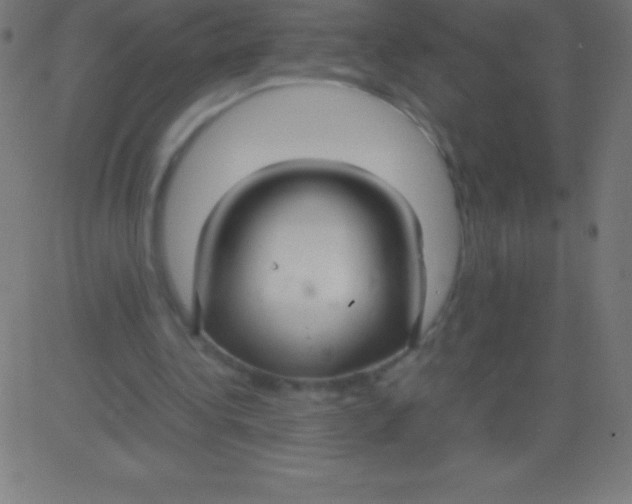 X0000081310340200702012340