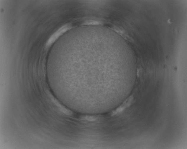 X0000081310341200702012340