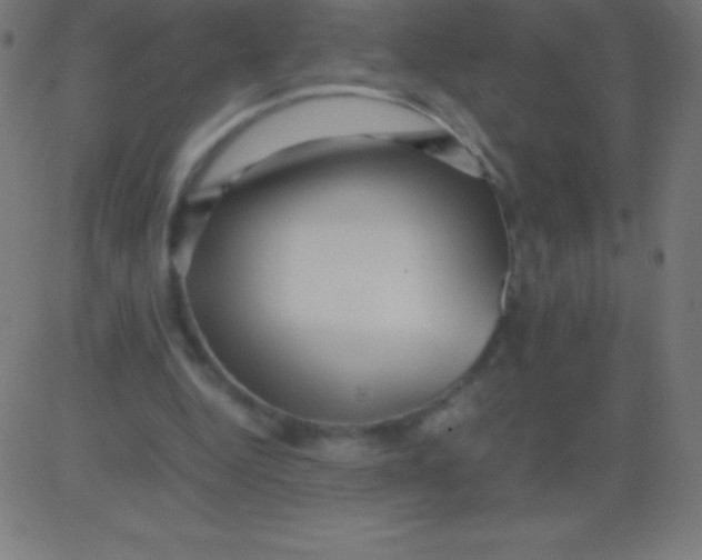 X0000081310344200702012340