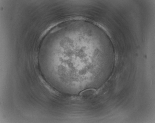 X0000081310345200702012340