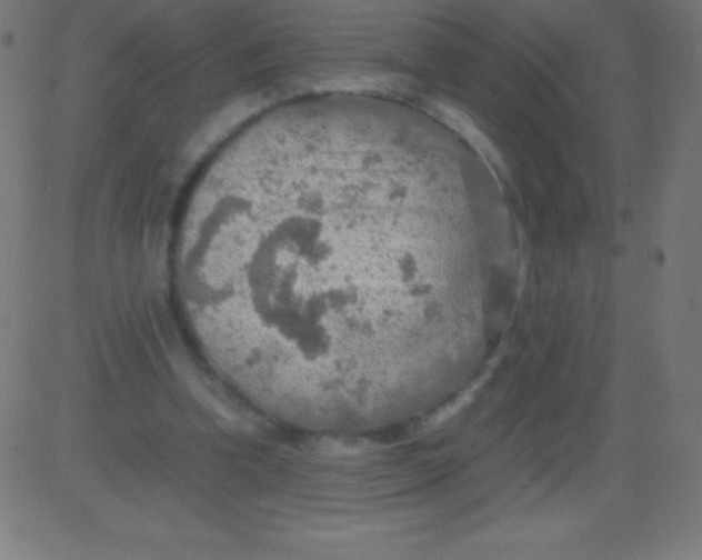 X0000081310346200702012340