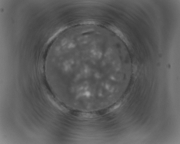 X0000081310347200702012340