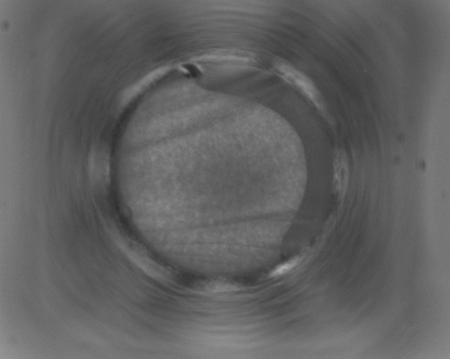 X0000081310348200702012340