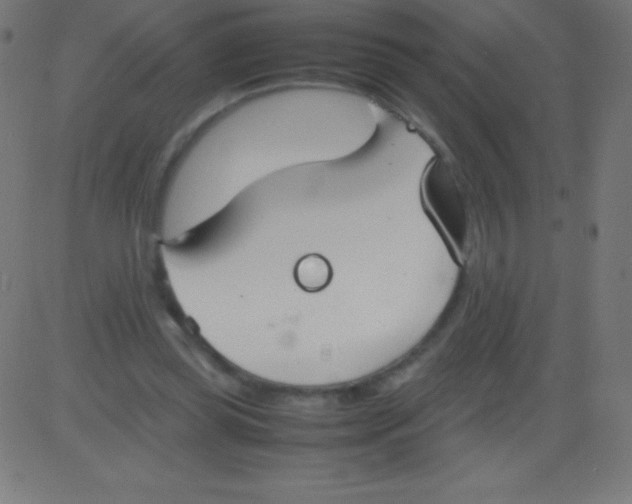 X0000081310349200702012340