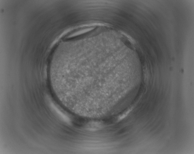 X0000081310350200702012340