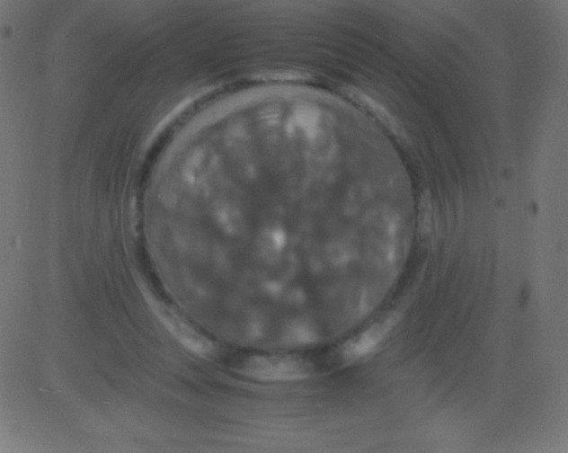 X0000081310351200702012340