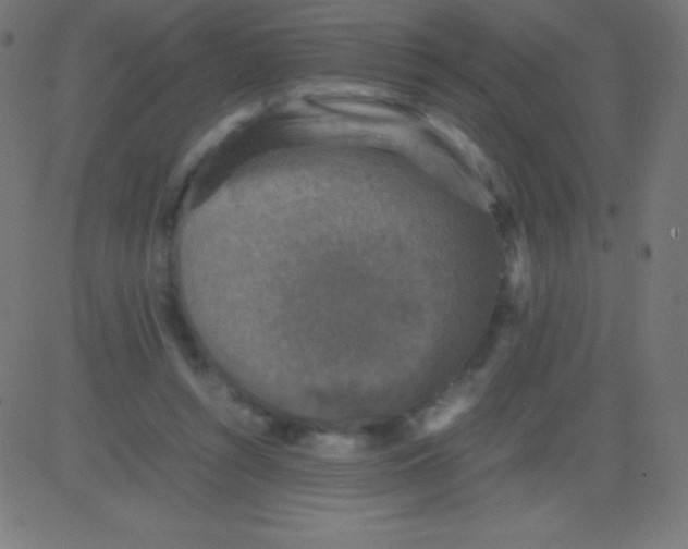 X0000081310352200702012340