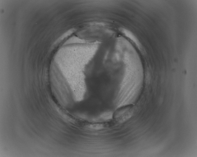 X0000081310353200702012340