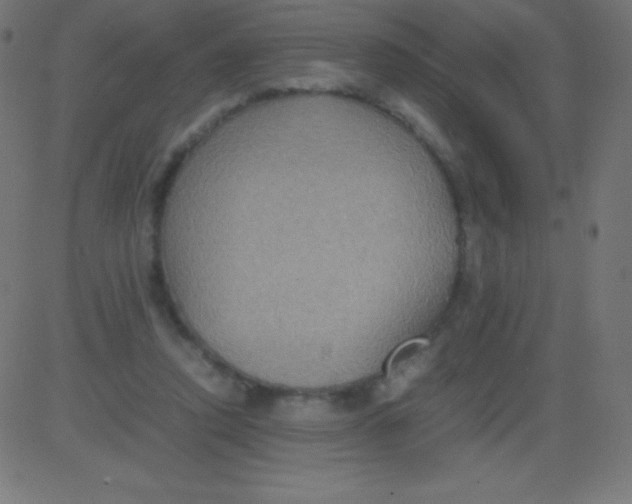 X0000081310354200702012340