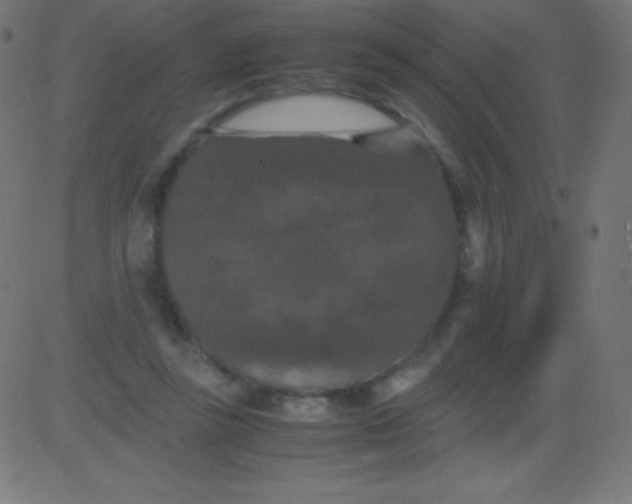 X0000081310355200702012340