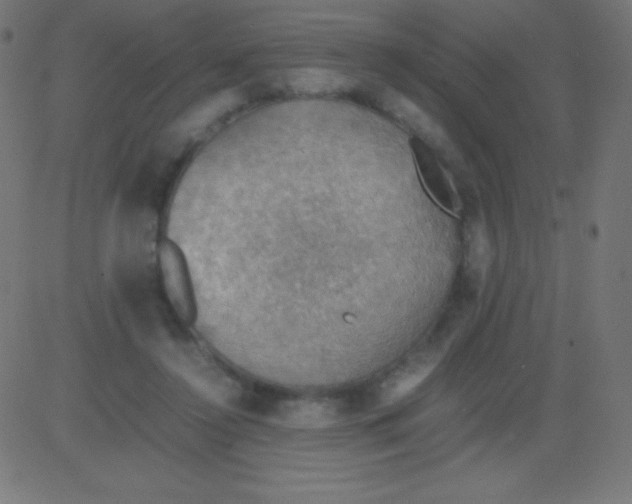 X0000081310356200702012340