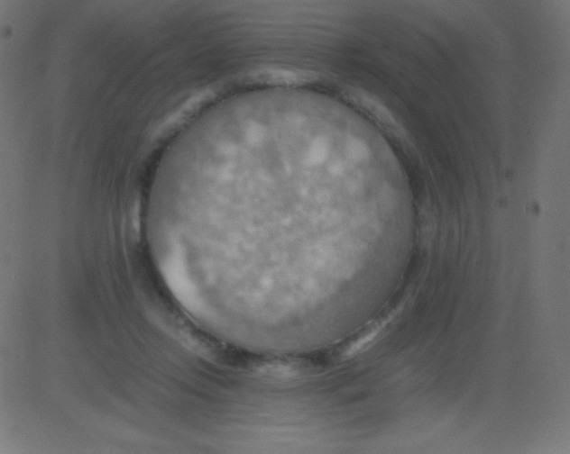 X0000081310358200702012340