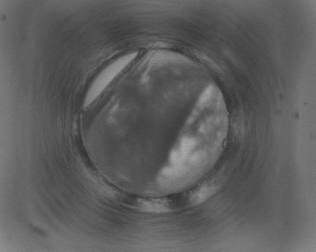 X0000081310359200702012340