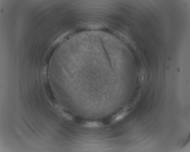 X0000081310360200702012340