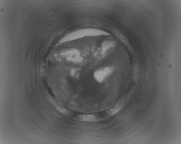 X0000081310361200702012340