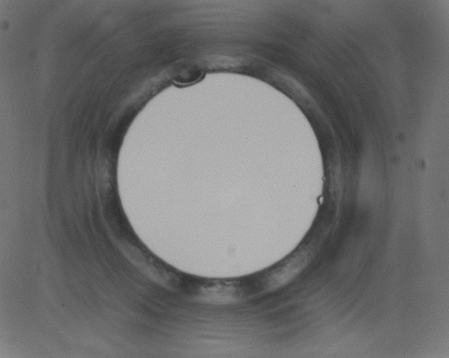 X0000081310362200702012340